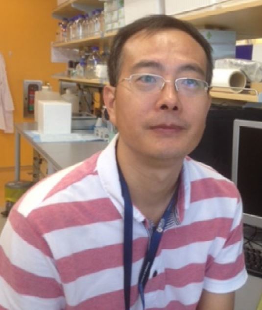 Dr Fu Zhen Ying (MD) - Research Associate